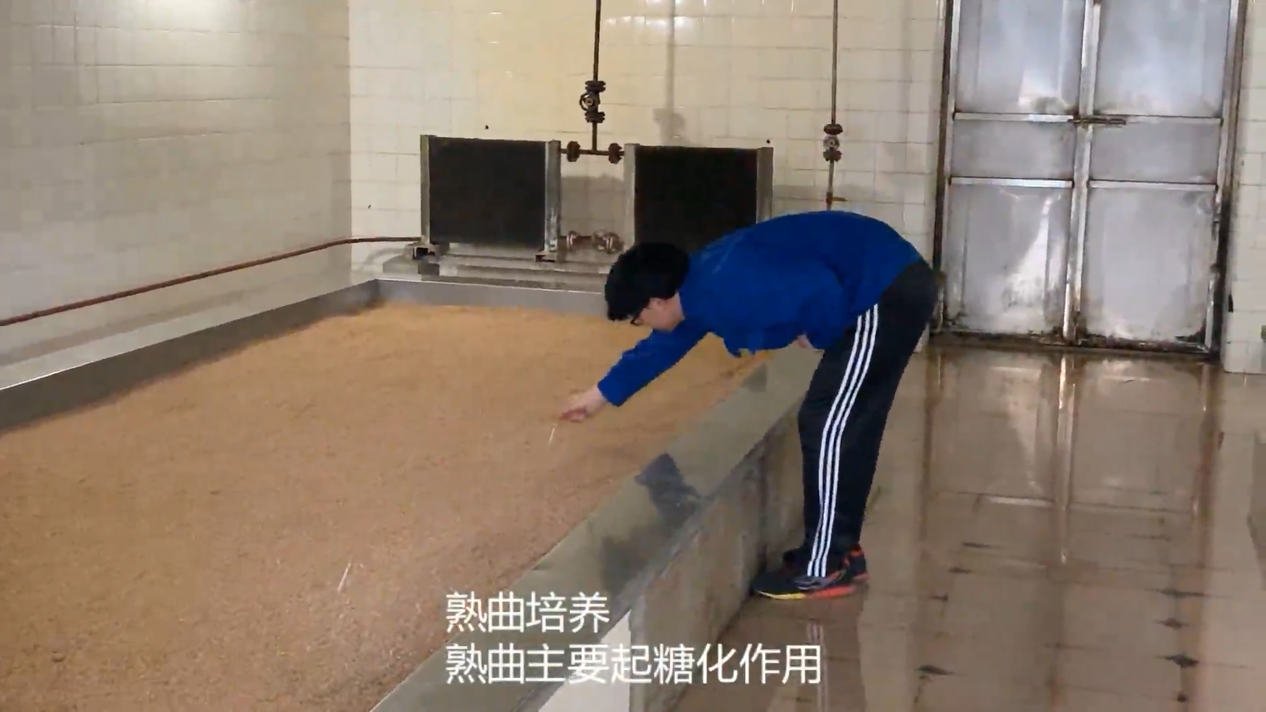 尊龙凯时(中国区)人生就是搏!
