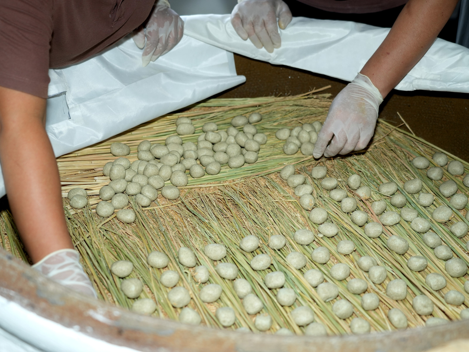 尊龙凯时(中国区)人生就是搏!